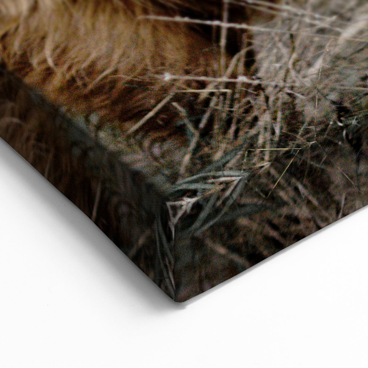 Farmhouse Wall Art - Rustic Highland Cow Print for Country Decor