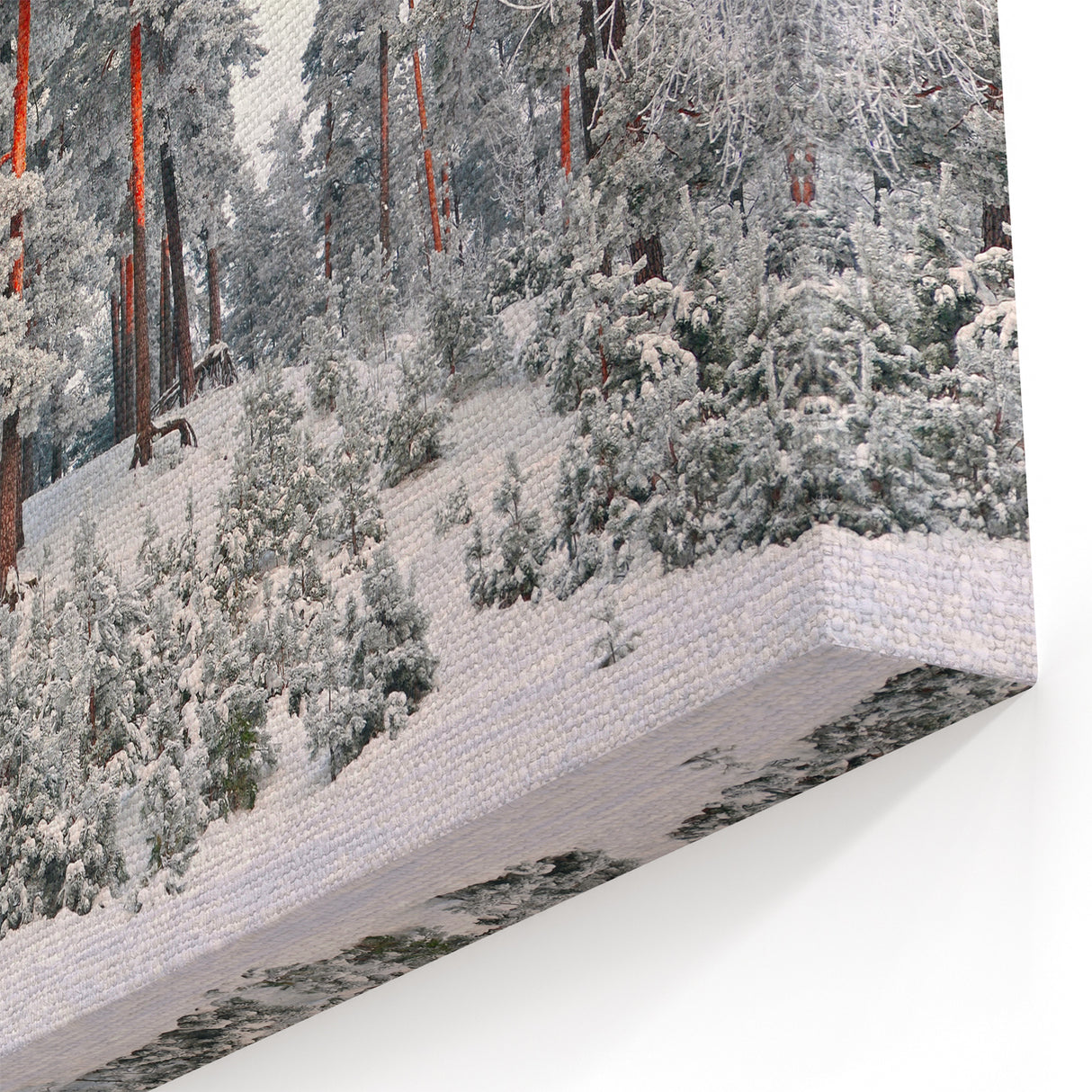 Latvia Canvas Prints - Snowy Baltic Forest in Winter Wonderland