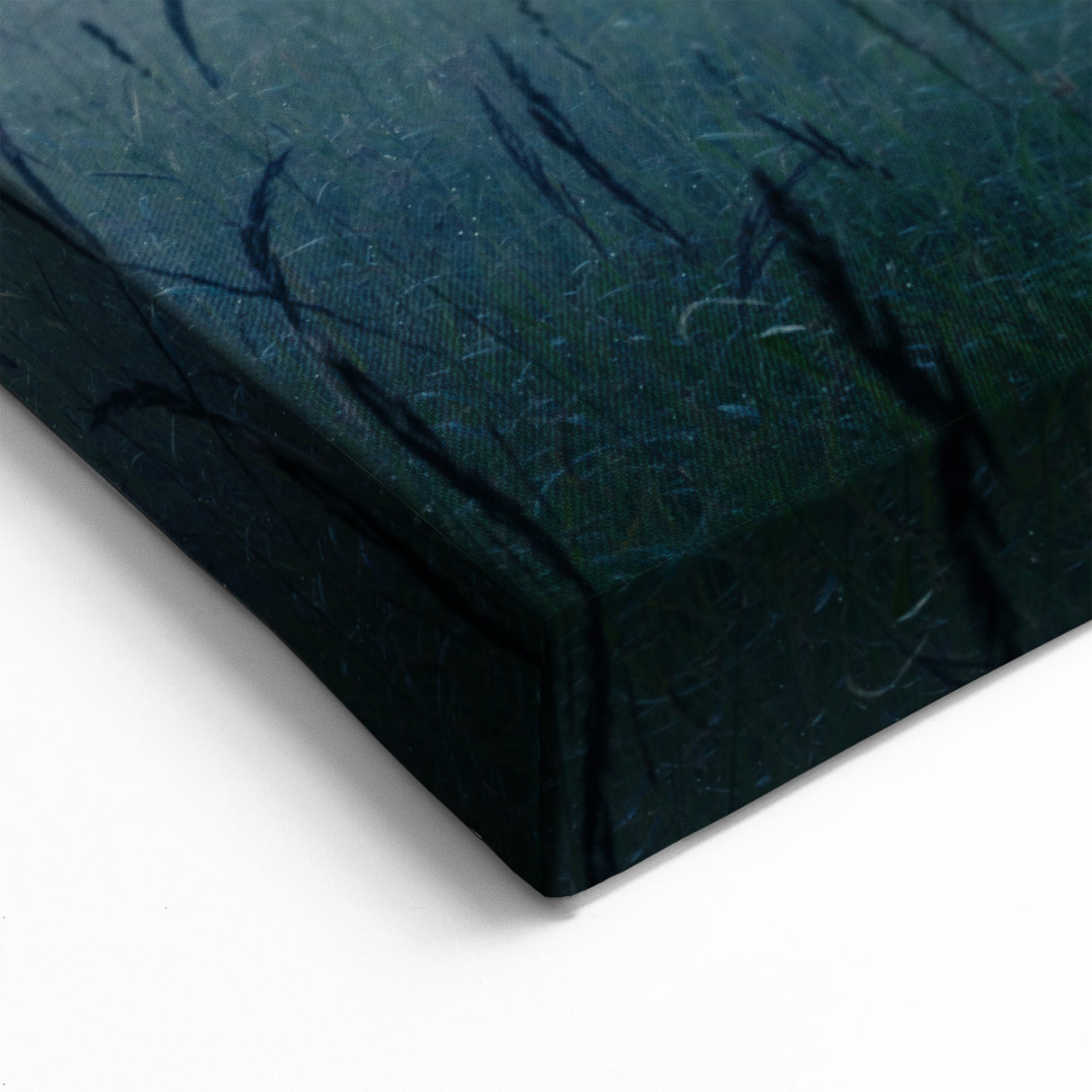 Latvia Canvas Prints - Misty Meadow and Forest at Sunrise