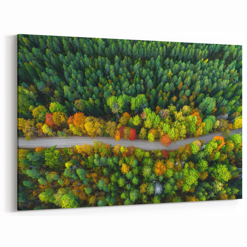 Latvia Canvas Prints - Aerial Latvian Landscape Baltic Region Wall Decor