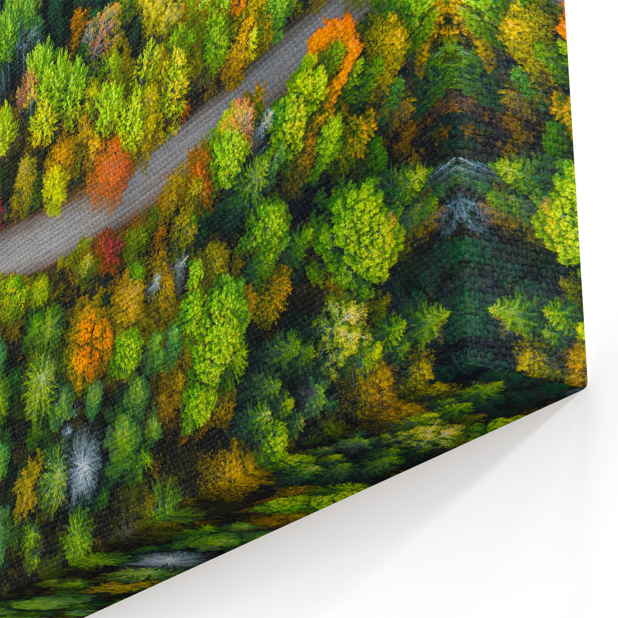 Latvia Canvas Prints - Aerial Latvian Landscape Baltic Region Wall Decor