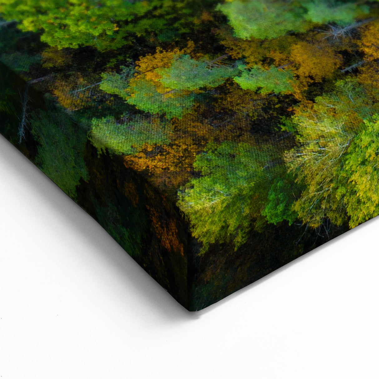 Latvia Canvas Prints - Aerial Latvian Landscape Baltic Region Wall Decor