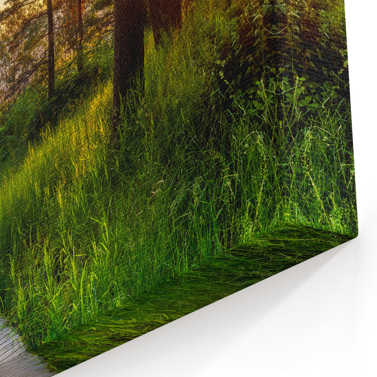 Latvia Wall Art - Sunset Beach Path Baltic Coastal Scenery Print