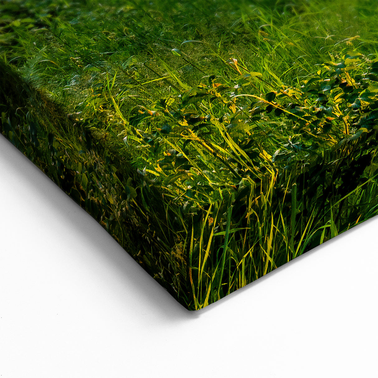 Latvia Wall Art - Sunset Beach Path Baltic Coastal Scenery Print