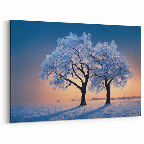 Latvia Wall Art - Frosted Winter Trees Sunset Baltic Scenery Print