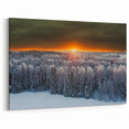 Baltic Region Wall Decor - Winter Forest Sunset Over Snowy Trees
