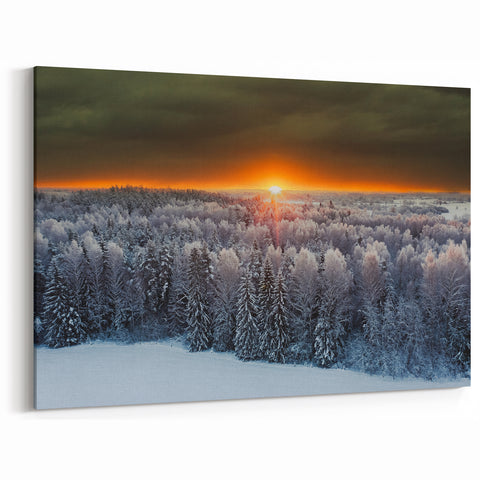 Baltic Region Wall Decor - Winter Forest Sunset Over Snowy Trees