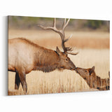 Yellowstone National Park Art – Wildlife Elk Poster Prints for Nature Lovers