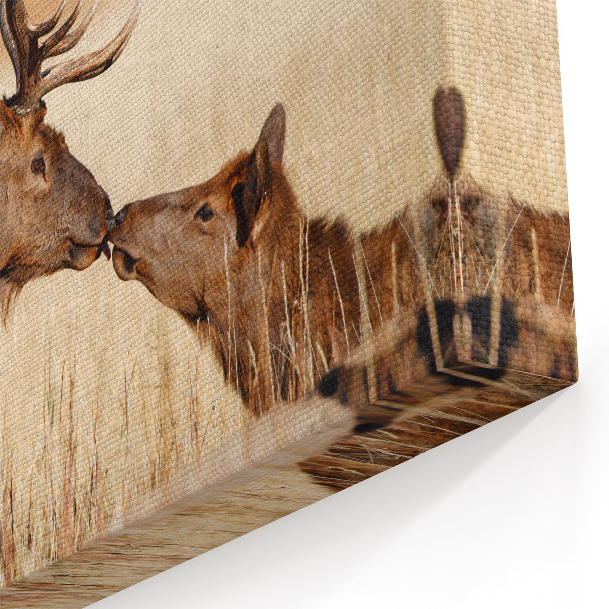 Yellowstone National Park Art – Wildlife Elk Poster Prints for Nature Lovers
