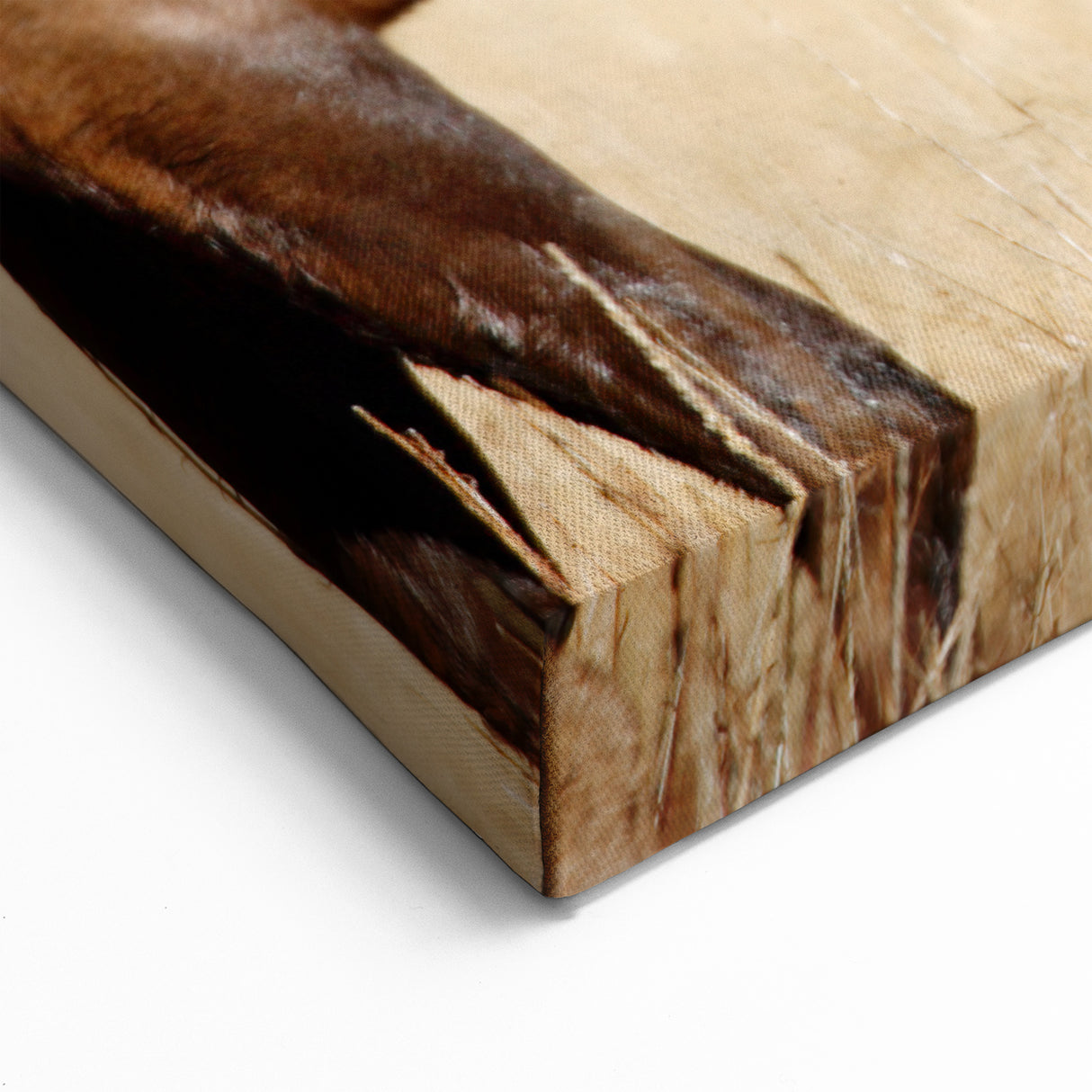 Yellowstone National Park Art – Wildlife Elk Poster Prints for Nature Lovers