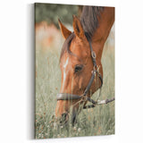 Farmhouse Horse Grazing Wall Art - Rustic Country Style Farmhouse Decor