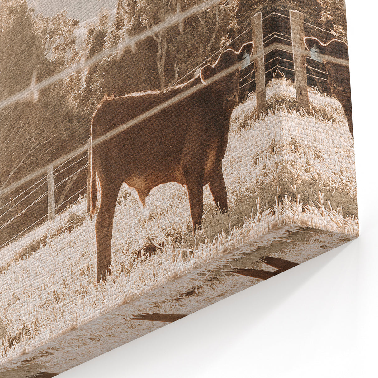 Farmhouse Cattle Grazing Wall Art - Rustic Country Style Decor