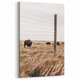 Rustic Farmhouse Buffalo Grazing Wall Art - Country Style Decor