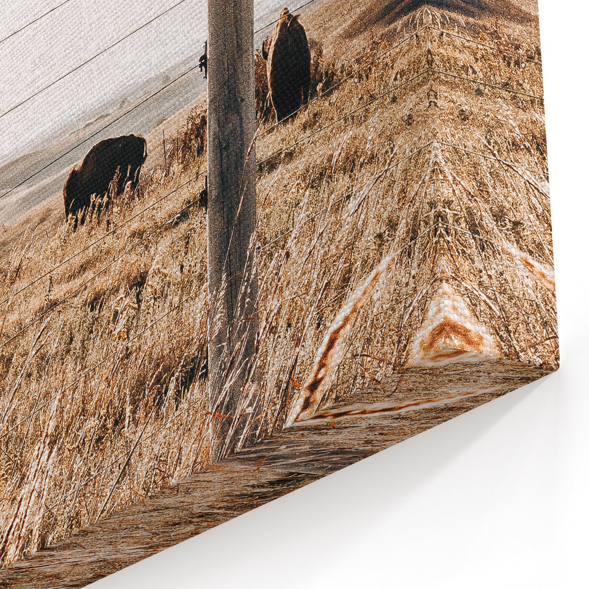 Rustic Farmhouse Buffalo Grazing Wall Art - Country Style Decor