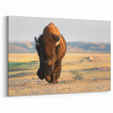 Yellowstone Wildlife Art – Majestic Bison Canvas Print for Nature Decor