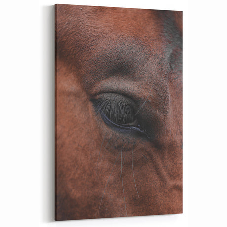 Rustic Horse Eye Close-Up Farmhouse Wall Art – Vintage Country Style Decor