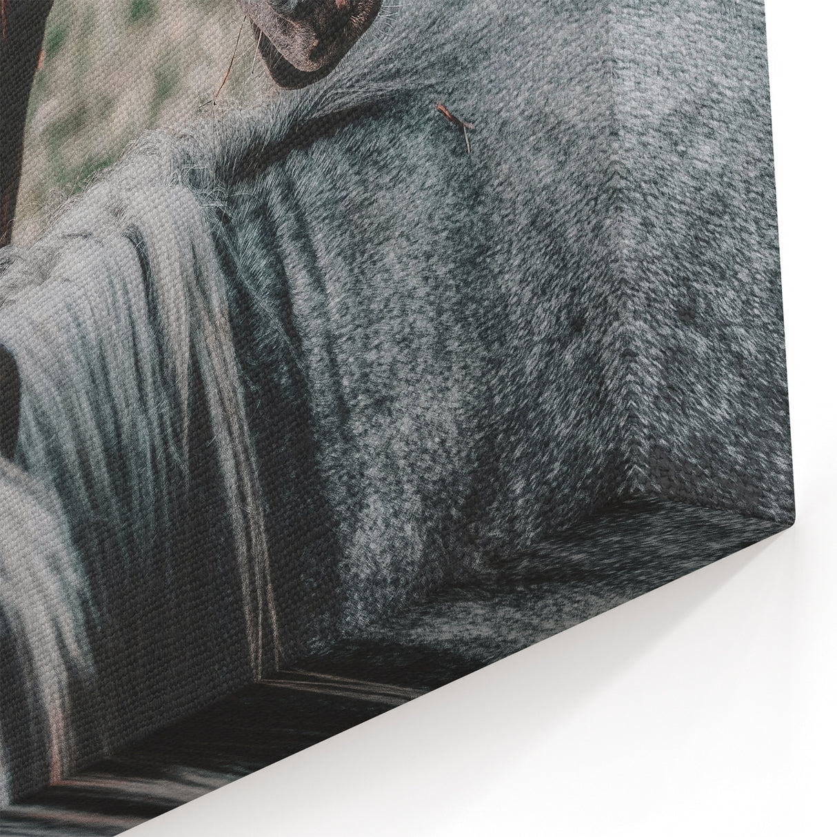 Rustic Horses Farmhouse Wall Art – Country Style Animal Decor