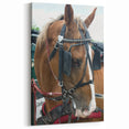 Rustic Horse and Harness Farmhouse Wall Art – Country Style Decor