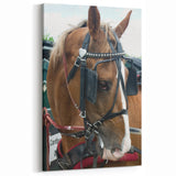 Rustic Horse and Harness Farmhouse Wall Art – Country Style Decor