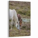 Rustic Horses Grazing Farmhouse Wall Art – Country Style Animal Decor