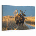 Yellowstone Scenic Art – Moose Wildlife Photography Canvas Prints