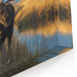 Yellowstone Scenic Art – Moose Wildlife Photography Canvas Prints
