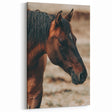 Rustic Horse Close-Up Farmhouse Wall Art – Country Style Decor