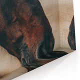Rustic Horse Close-Up Farmhouse Wall Art – Country Style Decor