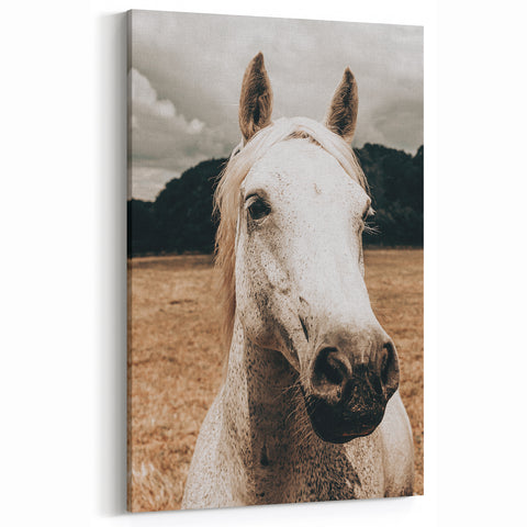 Rustic White Horse Close-Up Farmhouse Wall Art – Country Style Decor