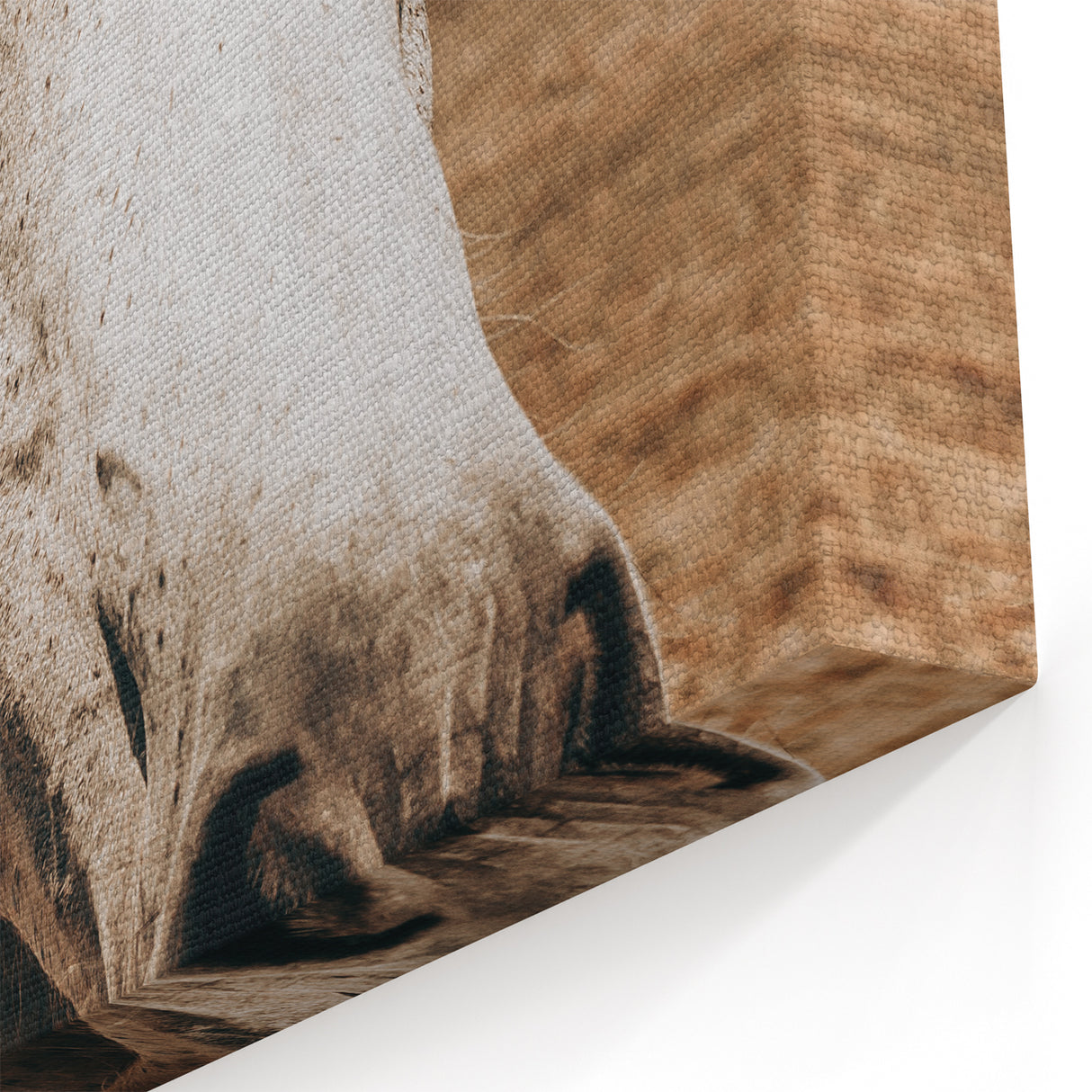 Rustic White Horse Close-Up Farmhouse Wall Art – Country Style Decor