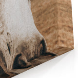 Rustic White Horse Close-Up Farmhouse Wall Art – Country Style Decor