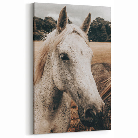 Rustic White Horse Portrait Farmhouse Wall Art – Country Style Decor