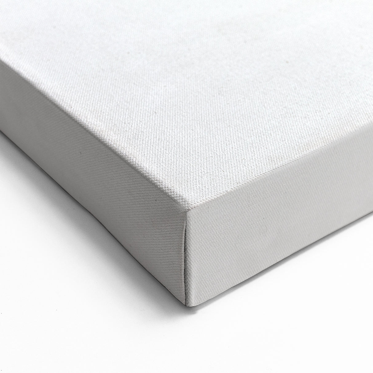 Yellowstone Wildlife Art – Coyote in Snow Photography Canvas Print