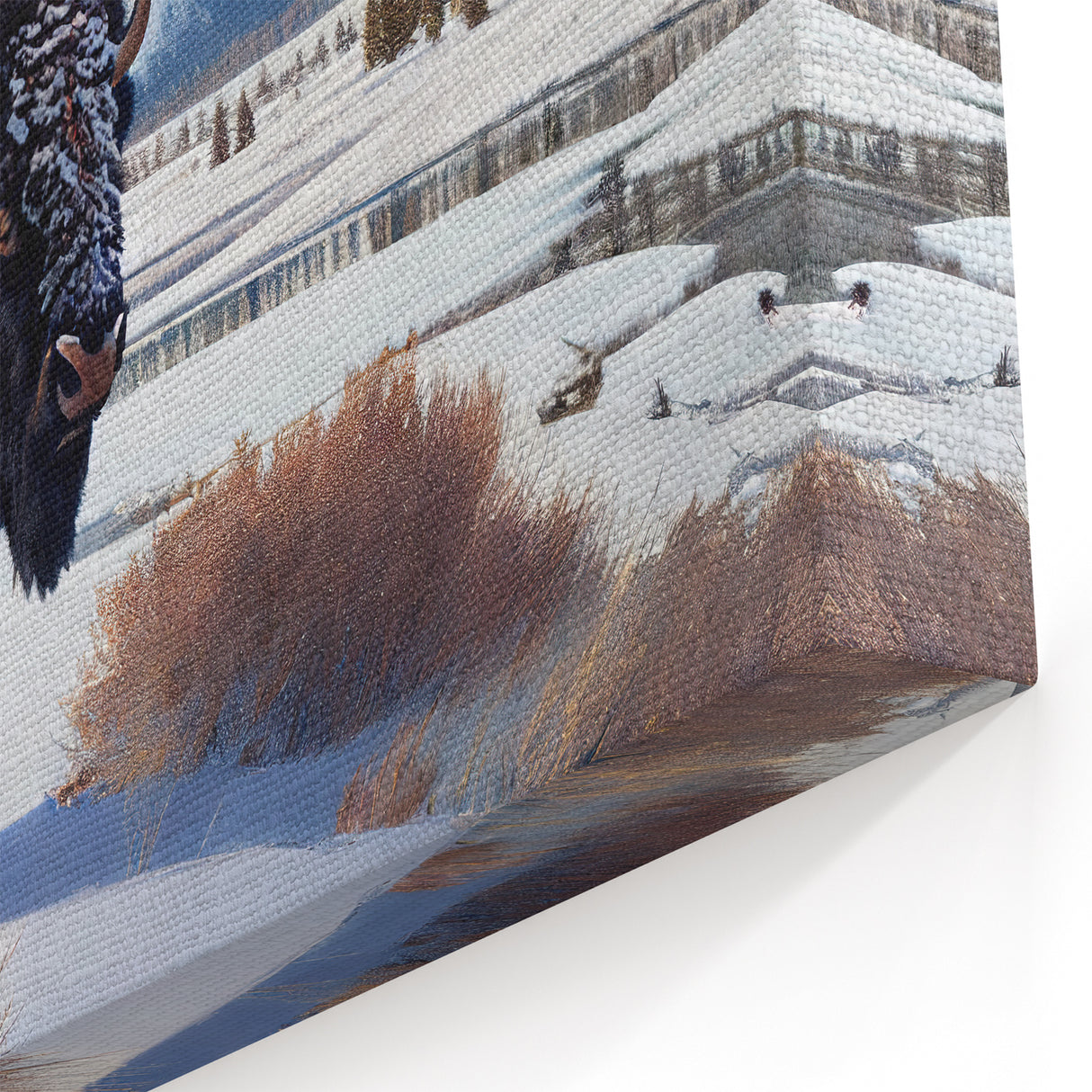 Yellowstone Winter Wildlife Art – Bison in Snow Canvas Photography Print