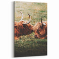 Highland Cattle Close-up Art, Rustic Farmhouse Wall Decor