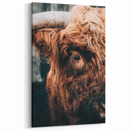Rustic Highland Cow Farmhouse Wall Art – Vintage Country Decor