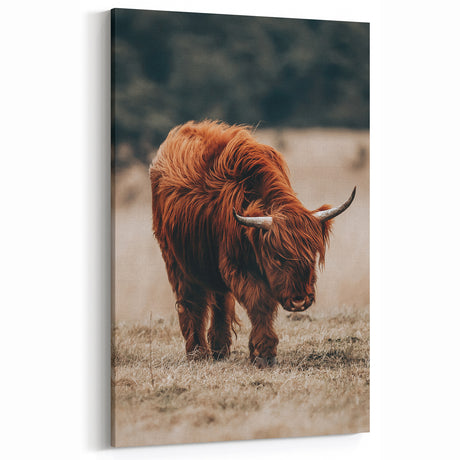 Rustic Highland Cow Farmhouse Wall Art | Vintage Farmhouse Country Decor