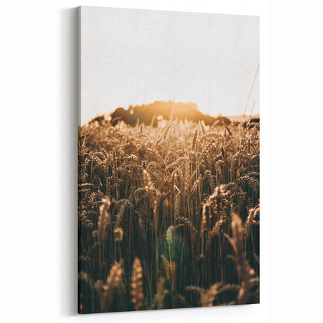 Golden Wheat Field at Sunrise | Farmhouse Rustic Wall Art