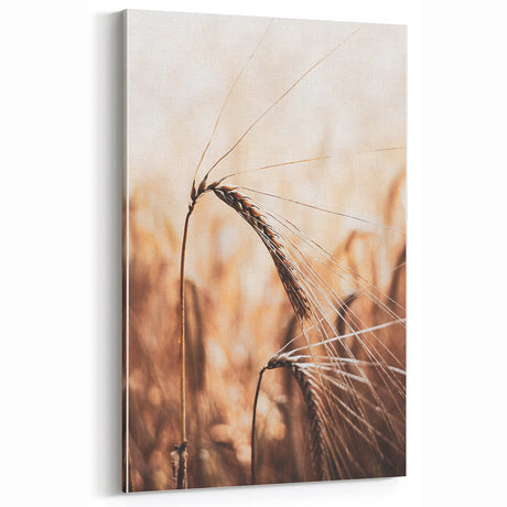 Elegant Wheat Stalk Art Print, Rustic Farmhouse Wall Decor