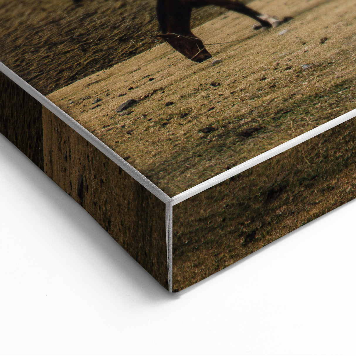 Mountain Grazing Horses, Rustic Landscape Wall Art Print