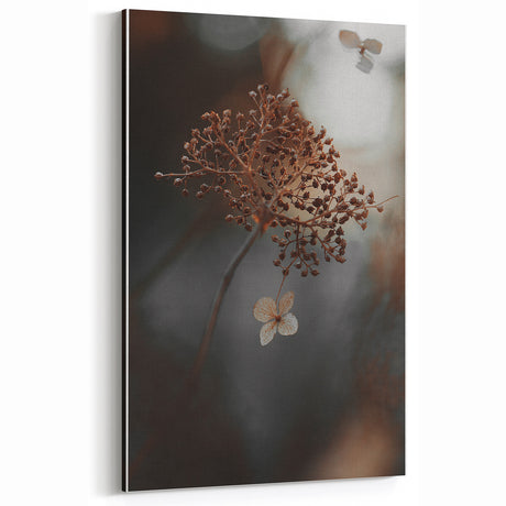 Delicate Dried Plant Art, Tranquil Rustic Wall Decor Print