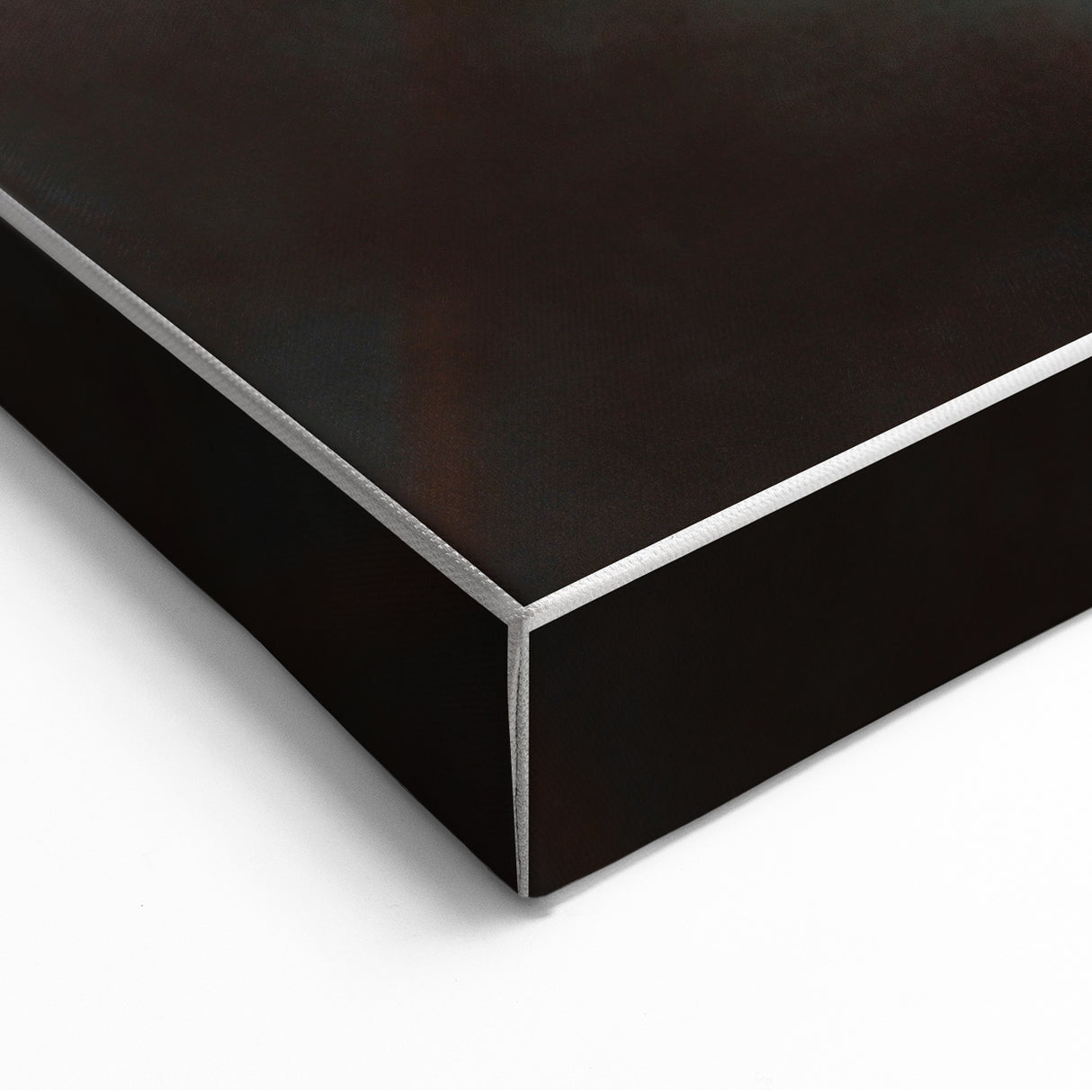Delicate Dried Plant Art, Tranquil Rustic Wall Decor Print