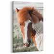Farmhouse Wall Art of Majestic Horse – Rustic Farmhouse Style Decor