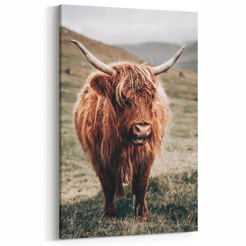 Farmhouse Wall Art of Highland Cow – Rustic Country Style Decor