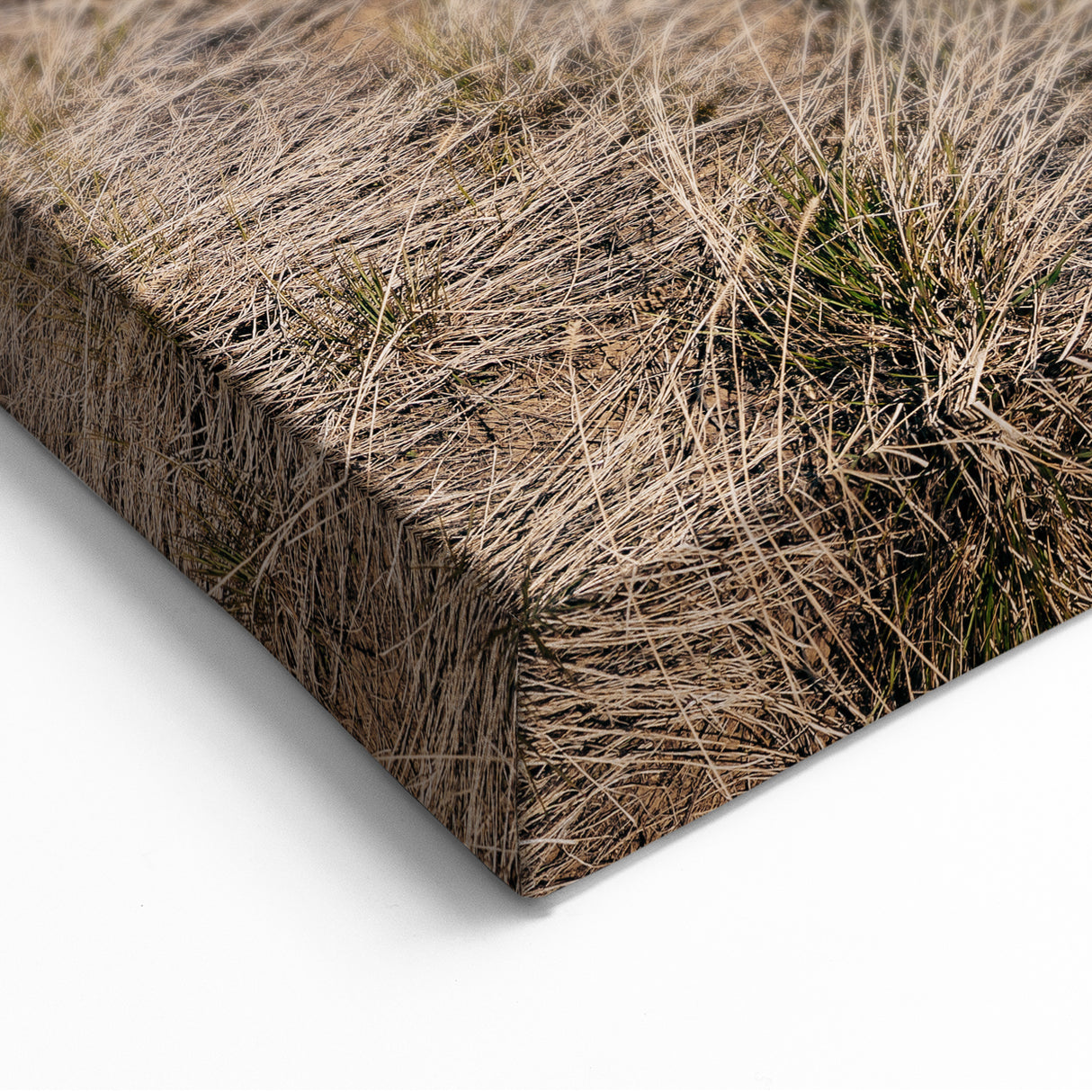 Farmhouse Wall Art of Fenced Field – Rustic Country Living Decor