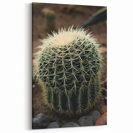 Vintage Farmhouse Wall Art of Barrel Cactus – Rustic Country Decor