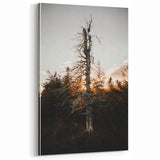 Vintage Rustic Tree Landscape - Farmhouse Wall Art
