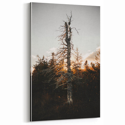 Vintage Rustic Tree Landscape - Farmhouse Wall Art