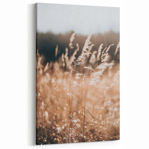 Sunlit Grass Field Farmhouse Wall Art – Rustic Country Style Decor