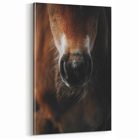 Close-Up Horse Muzzle: Rustic Farmhouse Art Print